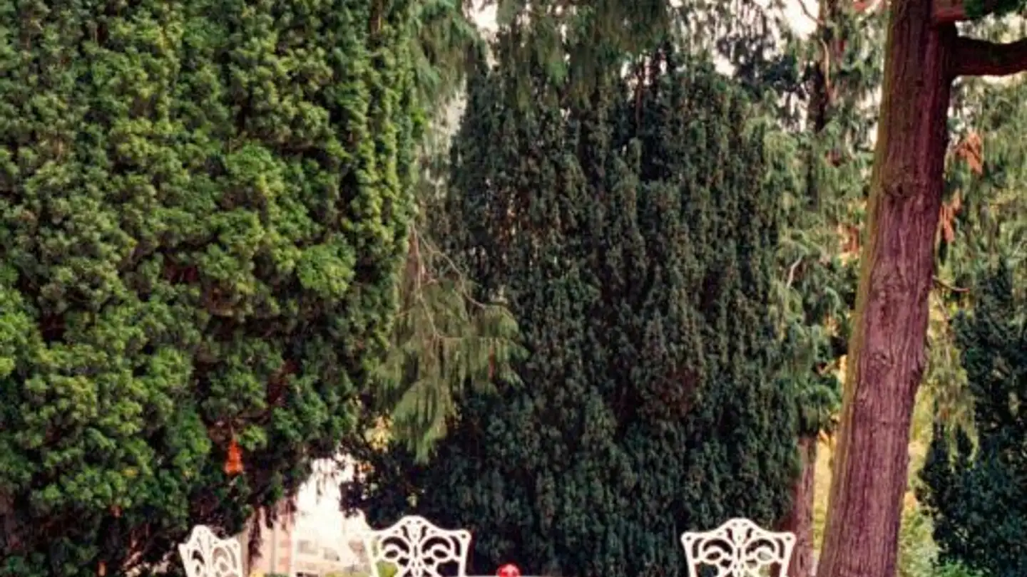 Appartamento in affitto - 1224 Chêne-Bougeries