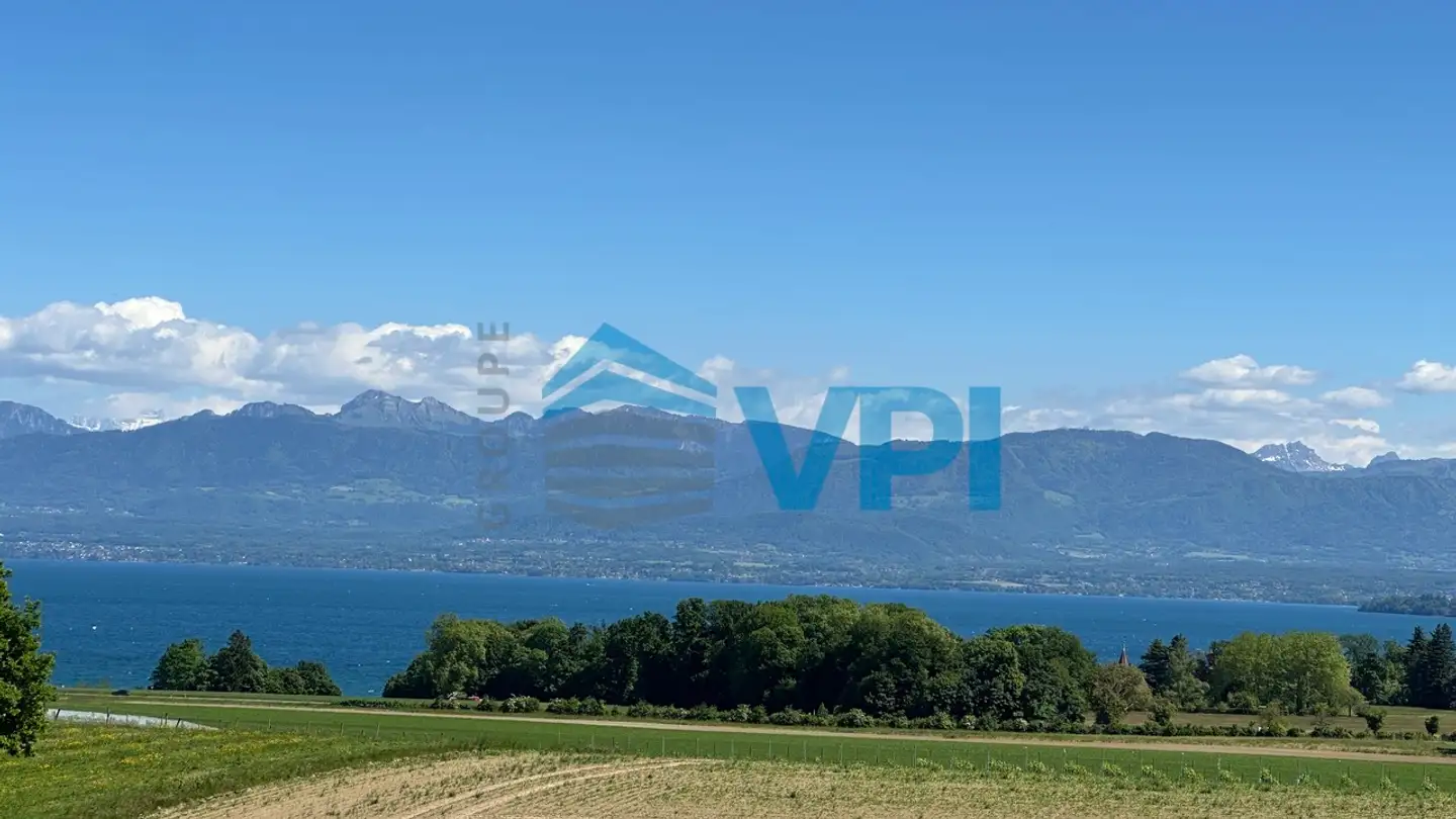 Commerciale in affitto - Chemin De Plannaz 11, 1196 Gland - Foto 3