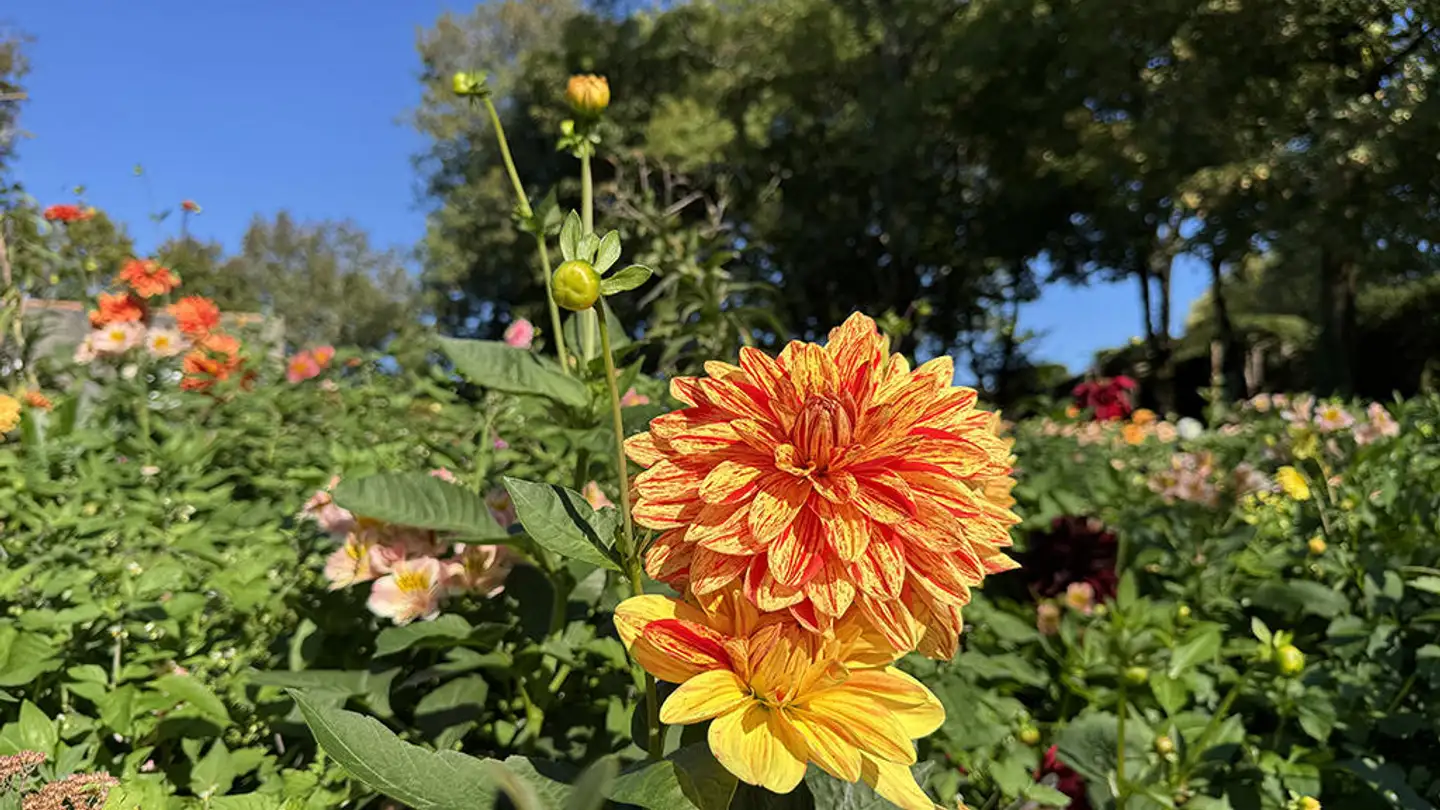 Maison jumelle à vendre - 1920 Martigny - Photo 3