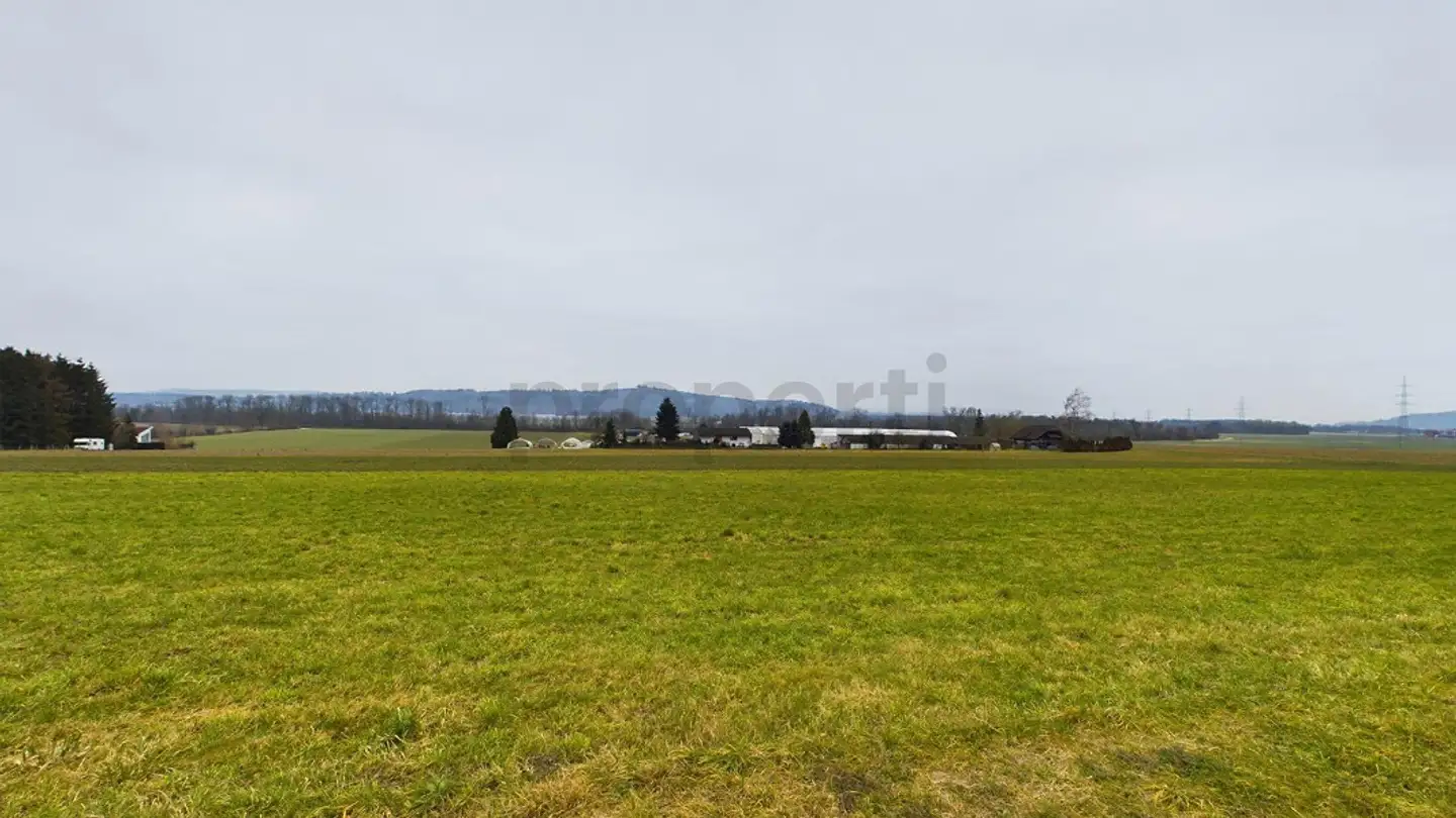 Terrain constructible à vendre - 2554 Meinisberg