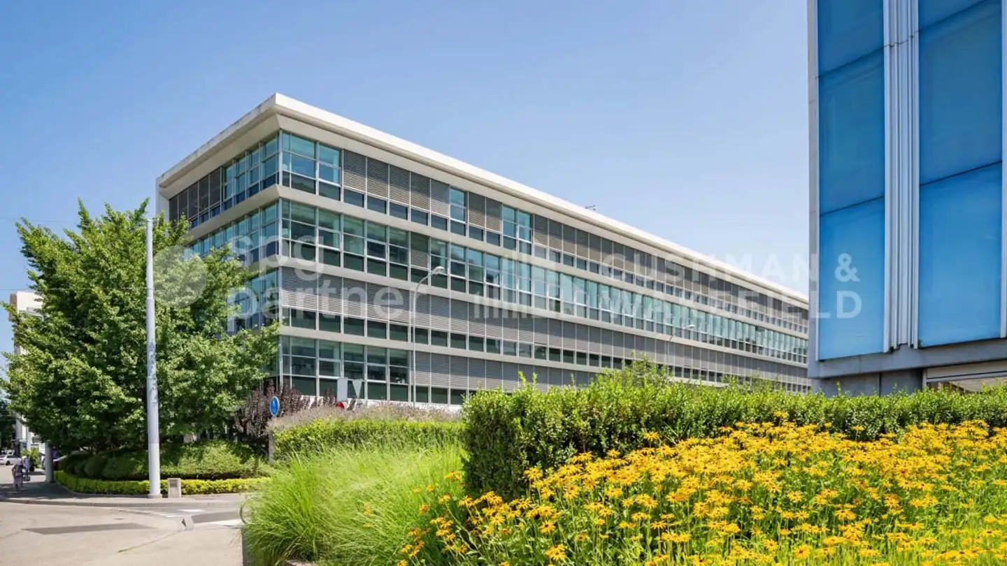 Office space for rent - Rue De La Gabelle 1, 1227 Carouge GE