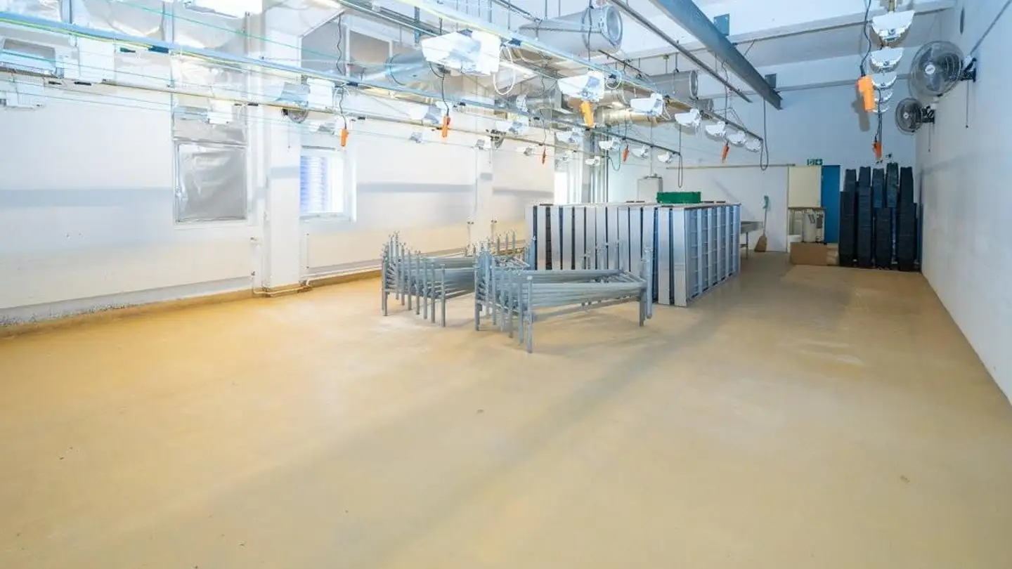 Commerciale in affitto - Oberer Kanalweg 7, 2558 Aegerten - Foto 3