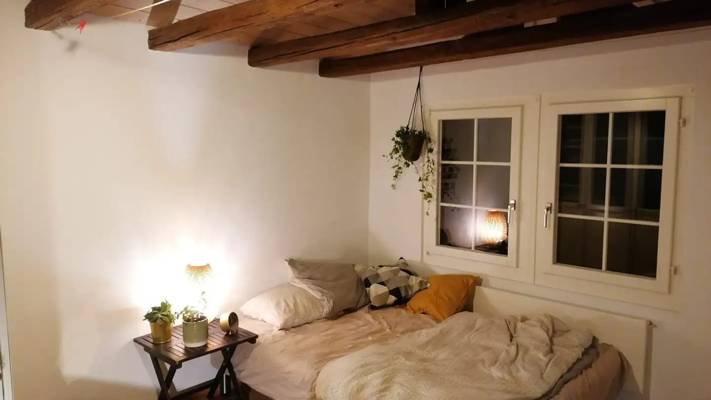 Single room for rent - Steinstrasse 8, 8003 Zürich