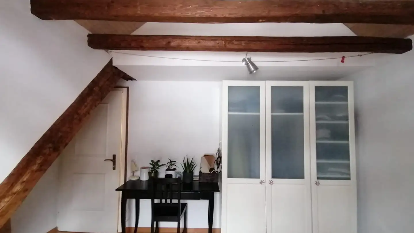 Chambre à louer - Steinstrasse 8, 8003 Zürich - Photo 2