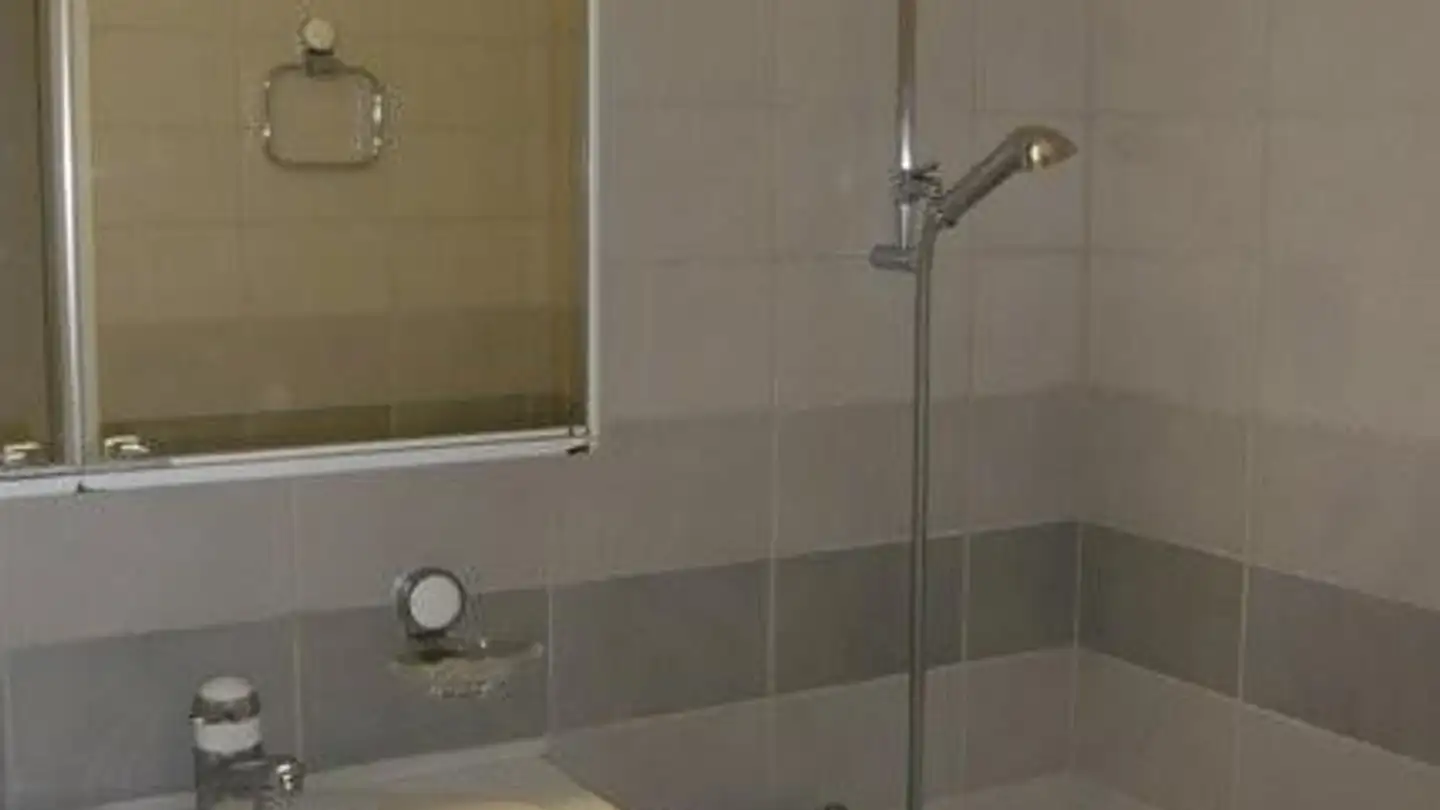 Wohnung mieten - Birmensdorferstrasse 9, 8953 Dietikon - Foto 4