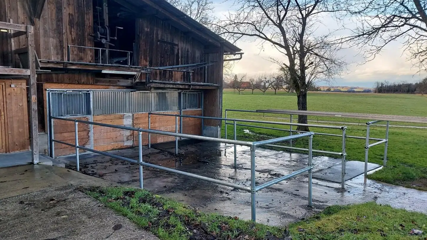 Agricultural business for rent - Bernhausen 9, 9216 Heldswil