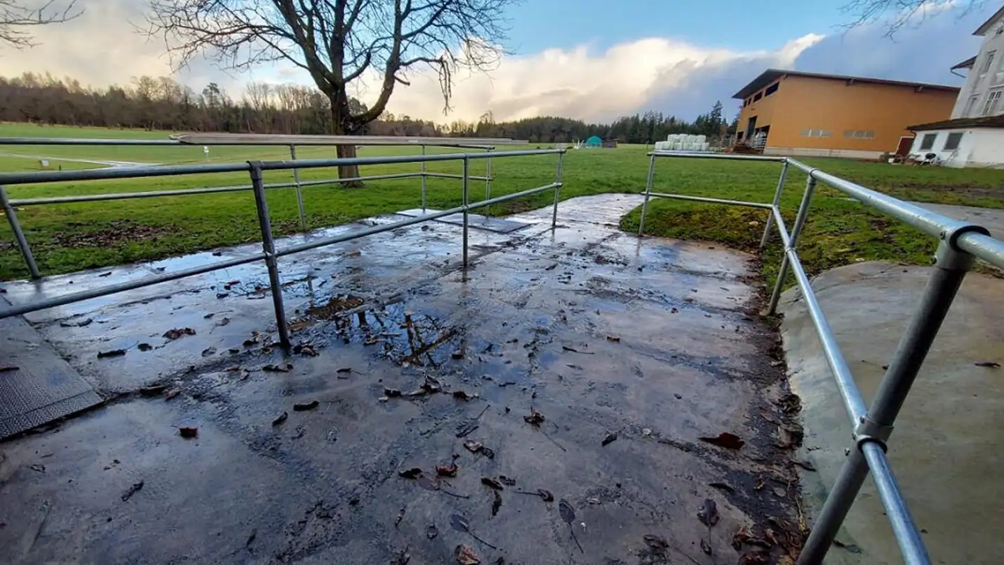 Agricultural business for rent - Bernhausen 9, 9216 Heldswil - Photo 2