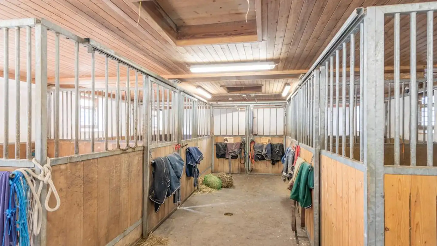 Fattoria in vendita - Dozwilerstrasse 1, 8580 Hefenhofen - Foto 4