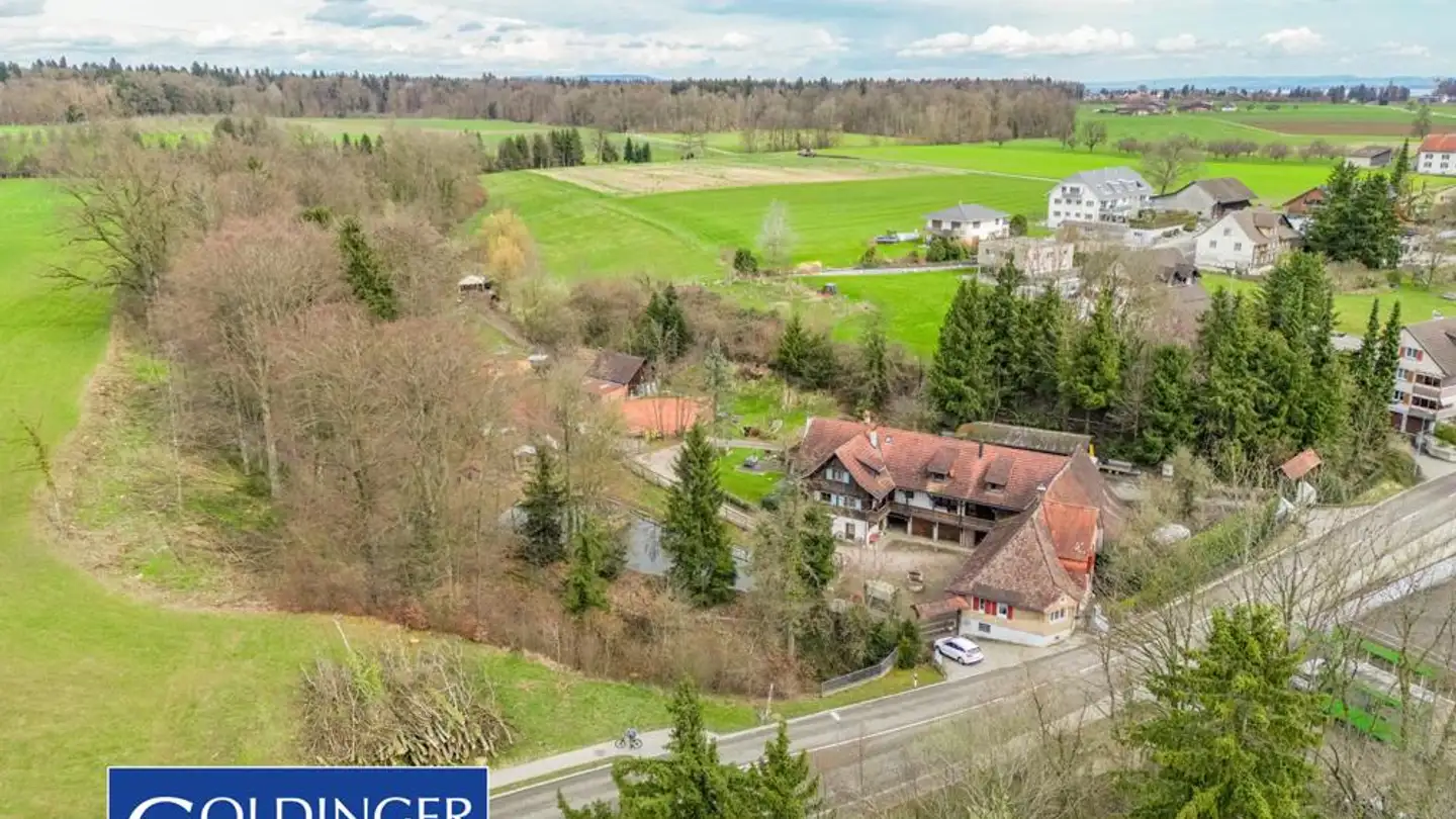 Fattoria in vendita - Dozwilerstrasse 1, 8580 Hefenhofen