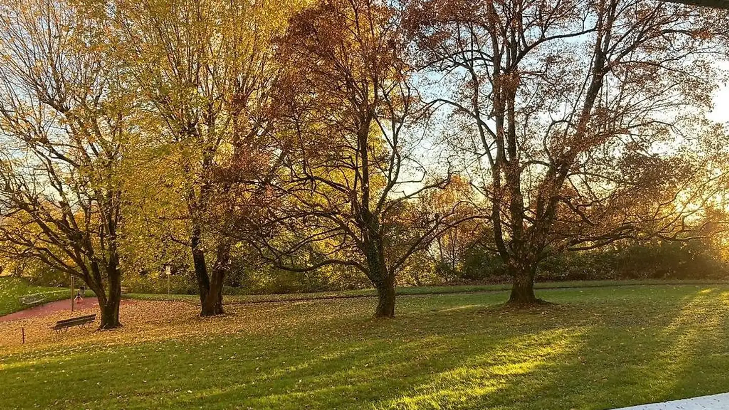 Appartement à louer - Avenue Du Parc-De-La-Rouvraie, 1018 Lausanne - Photo 3
