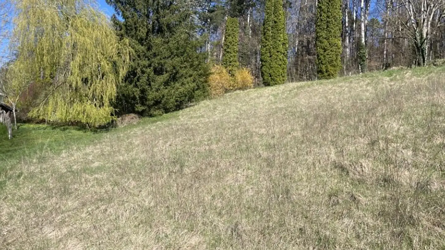 Bauland kaufen - 2900 Porrentruy - Foto 2