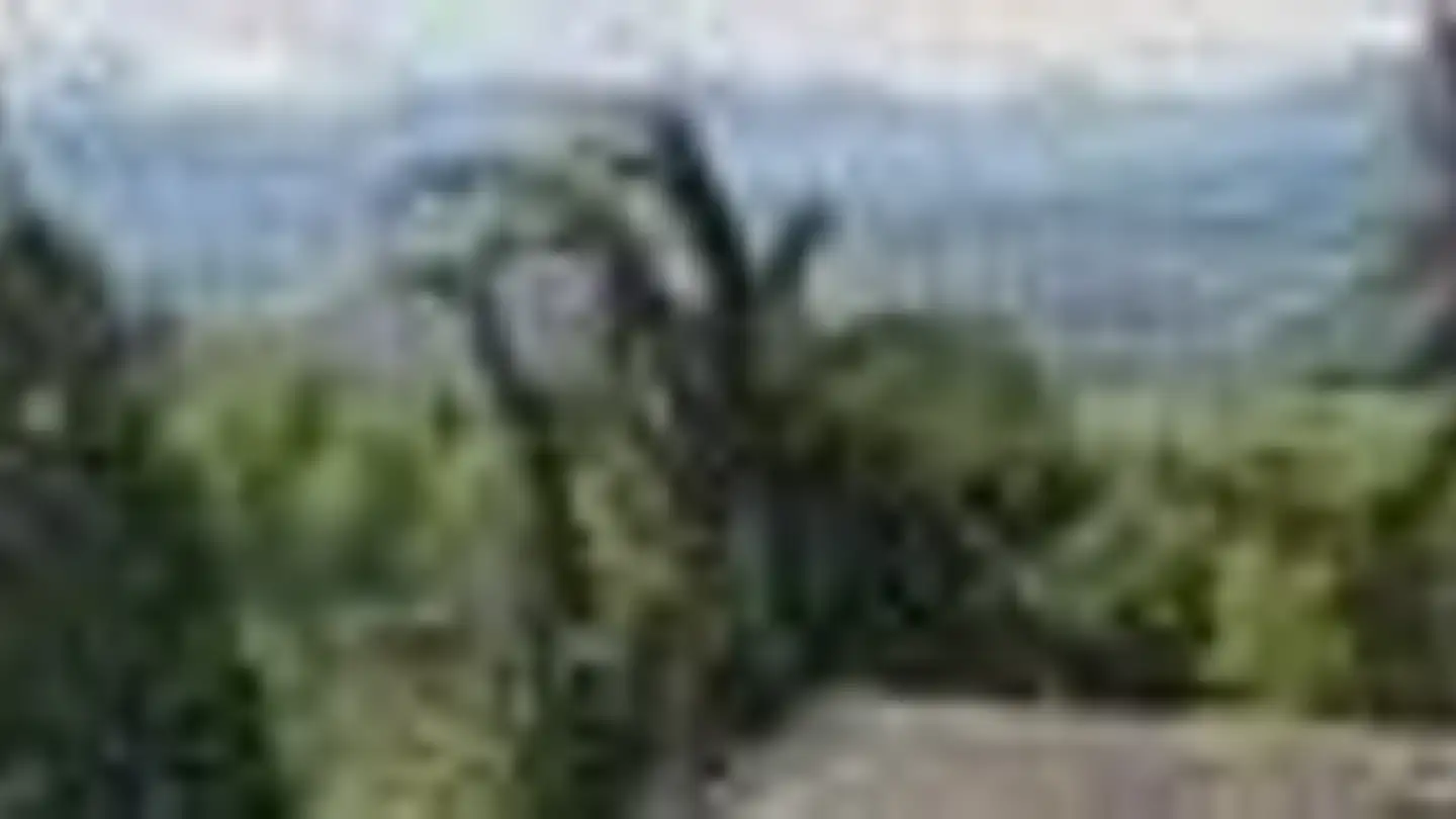 Casa singola in affitto - Augenweidstrasse 68, 8966 Oberwil-Lieli - Photo 2