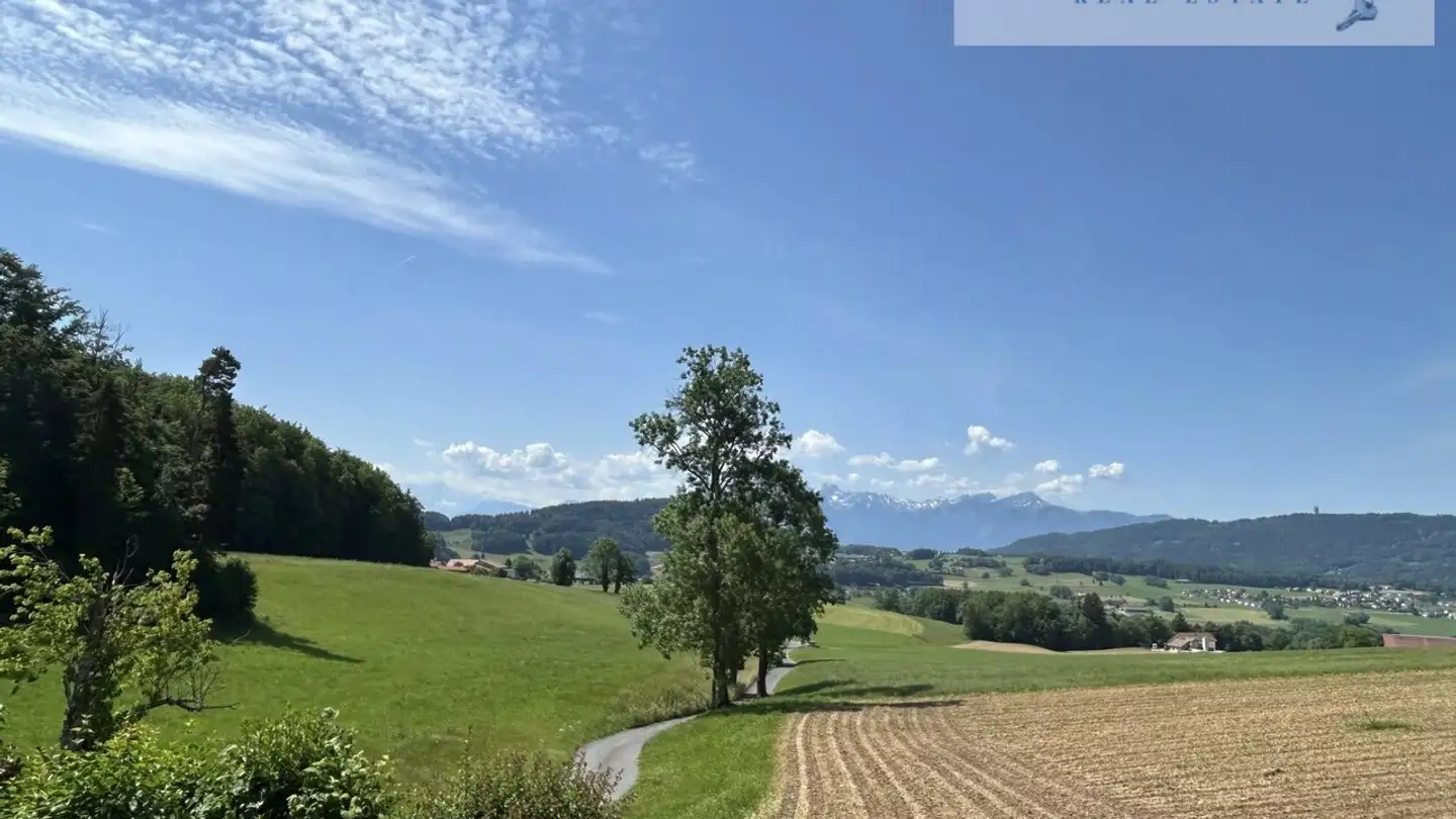 Chalet for sale - 1617 Remaufens - Photo 4