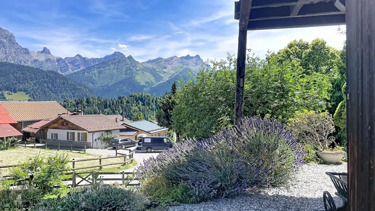 Chalet à vendre - 1884 Arveyes