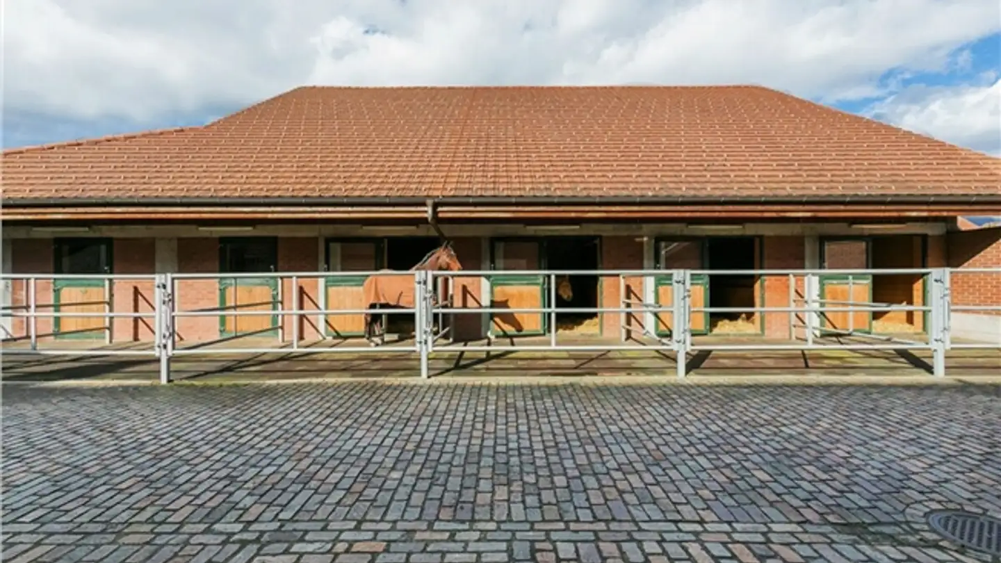 Fattoria in vendita - 4704 Niederbipp - Photo 4