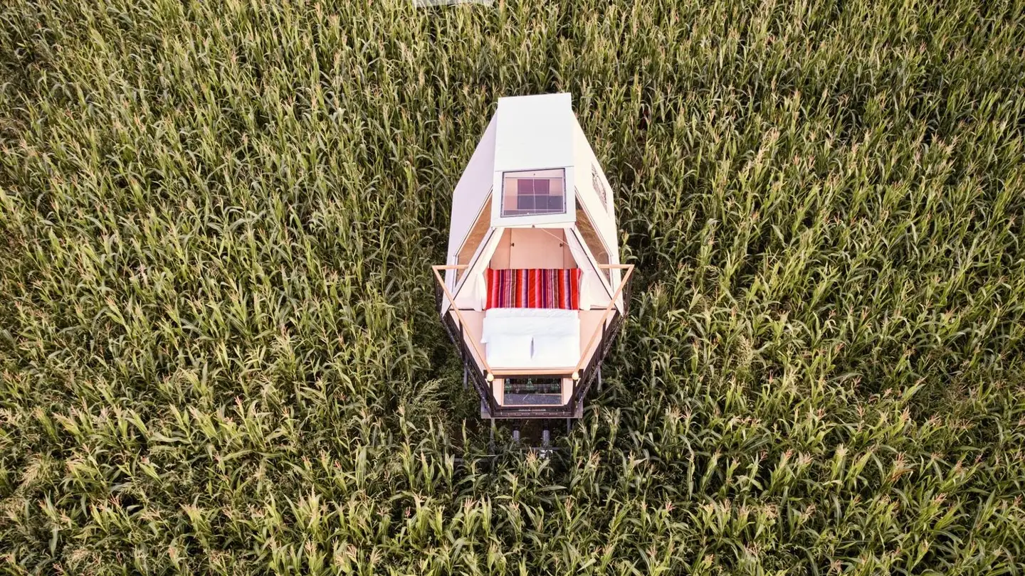 Einfamilienhaus kaufen - 3312 Fraubrunnen - Foto 4