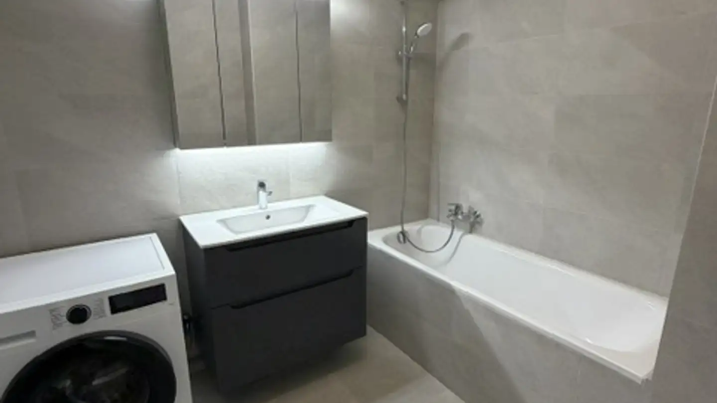 Duplex in affitto - Route De Drize 14, 1227 Carouge GE - Foto 3