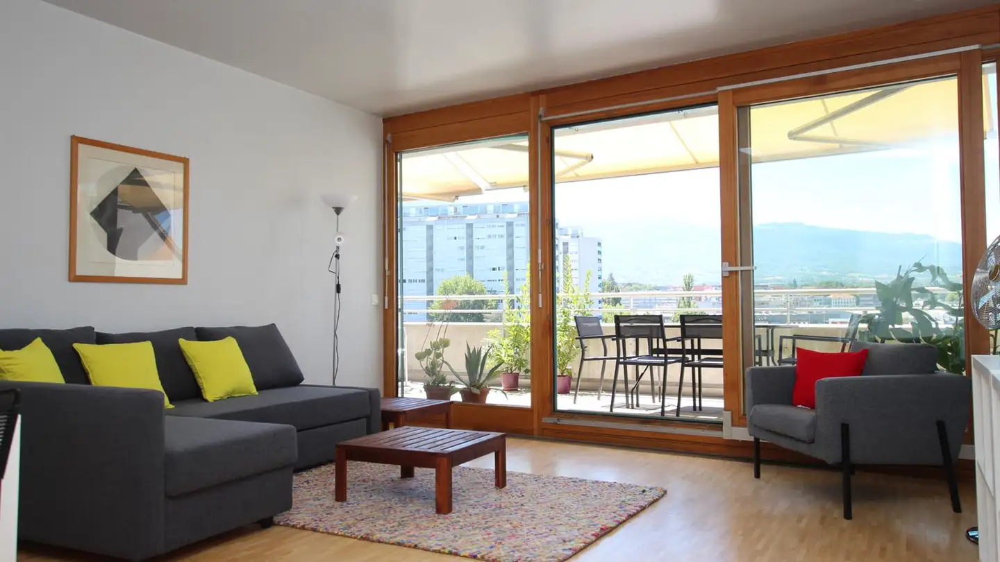 Appartamento ammobiliato in affitto - Rue Alexandre- Gavard, 1227 Carouge GE