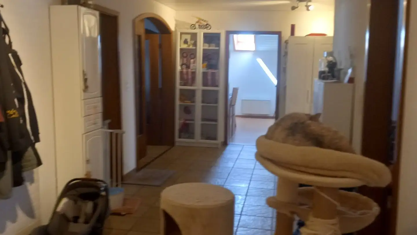 Dachgeschosswohnung mieten - Hauptstrasse 14, 4313 Möhlin - Foto 3