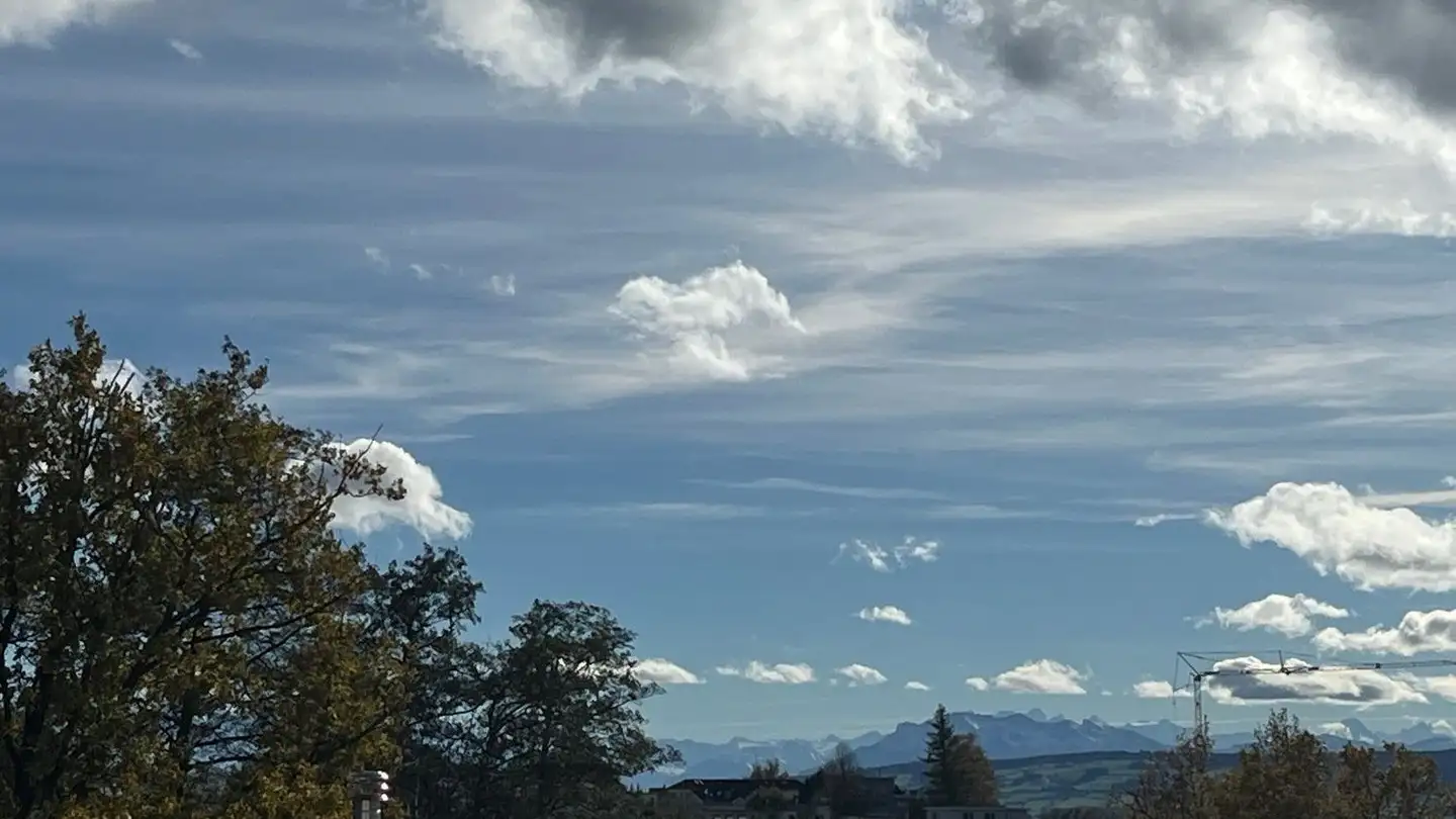 Appartement à vendre - Lehnisweidstrasse 36, 8967 Widen