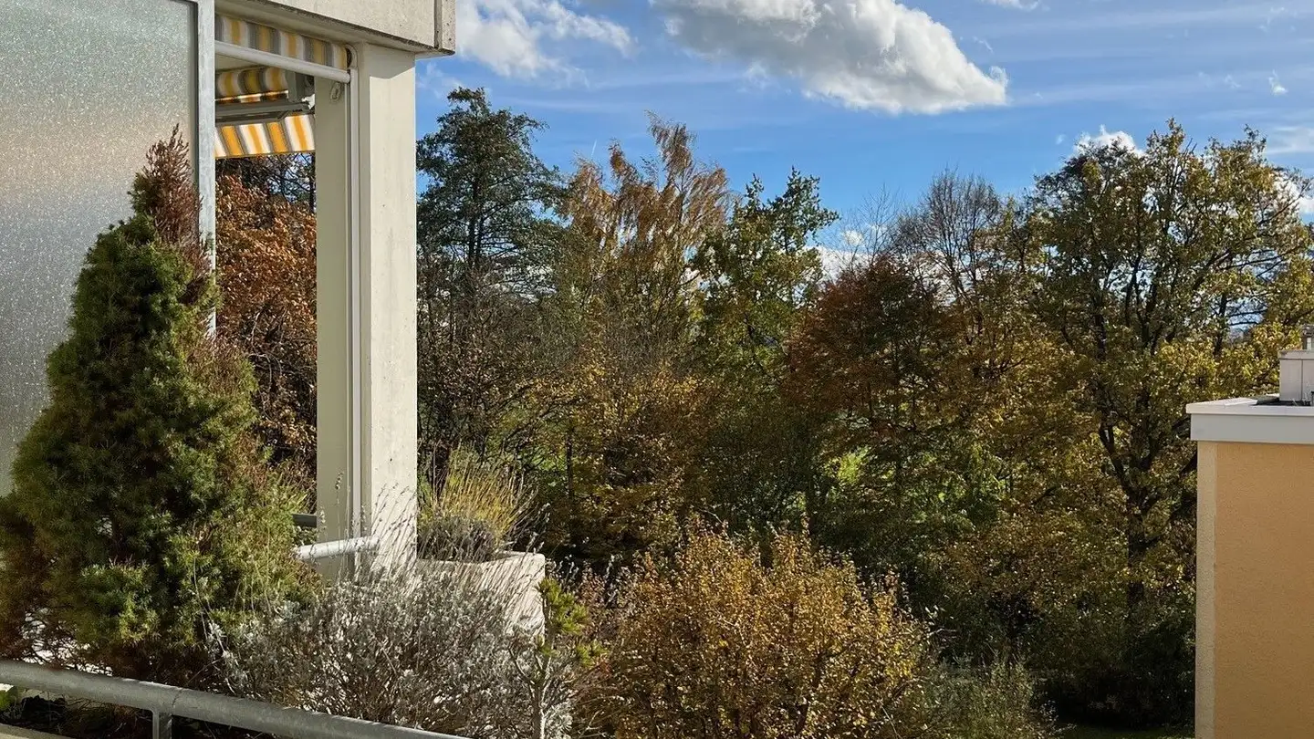 Appartement à vendre - Lehnisweidstrasse 36, 8967 Widen - Photo 2