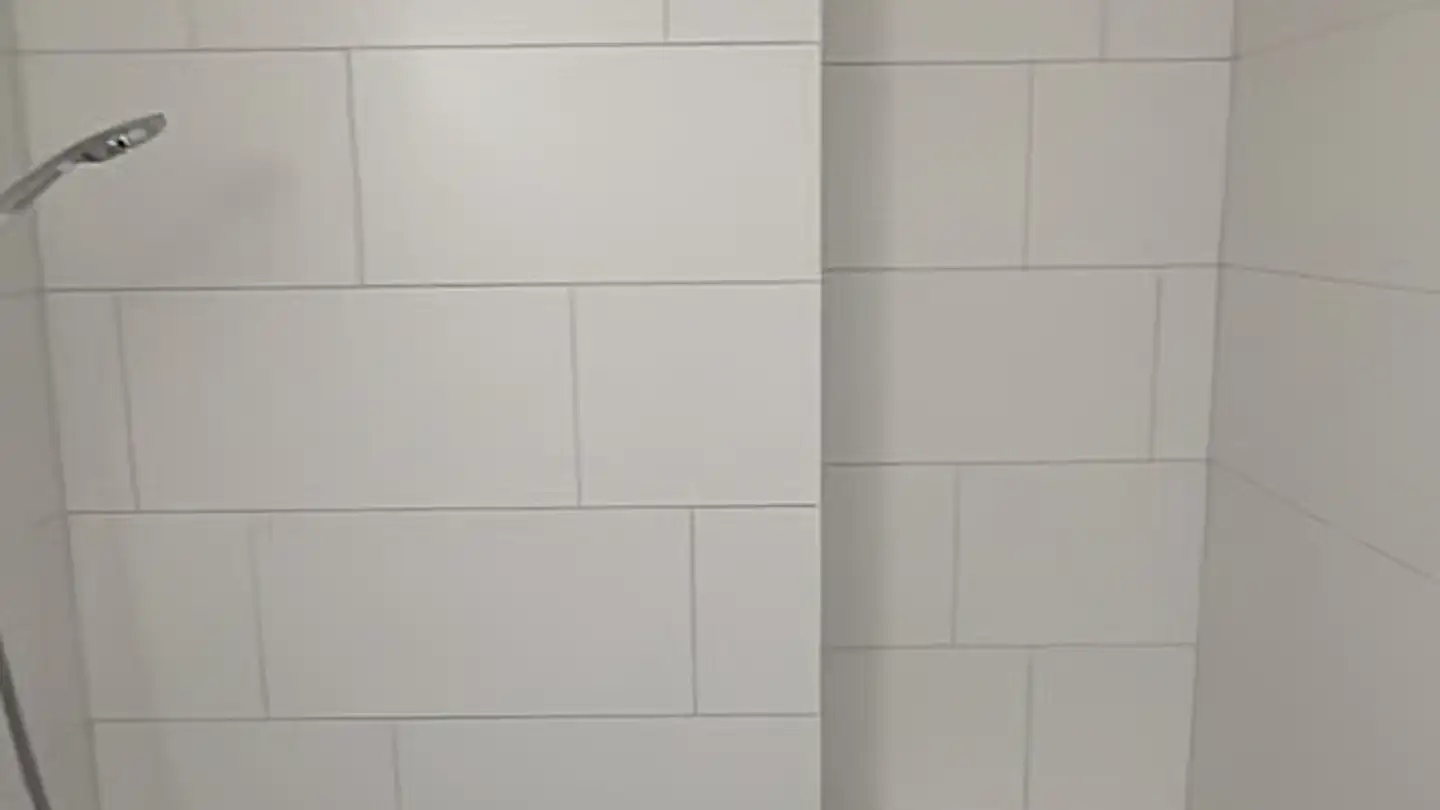 Appartement à louer - 8800 Thalwil