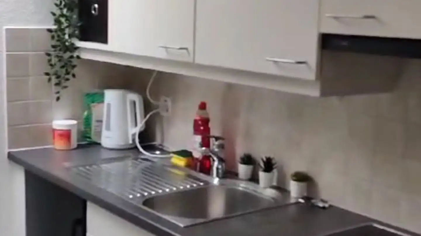 Wohnung mieten - Elfenaustrasse, 6005 Luzern - Foto 4