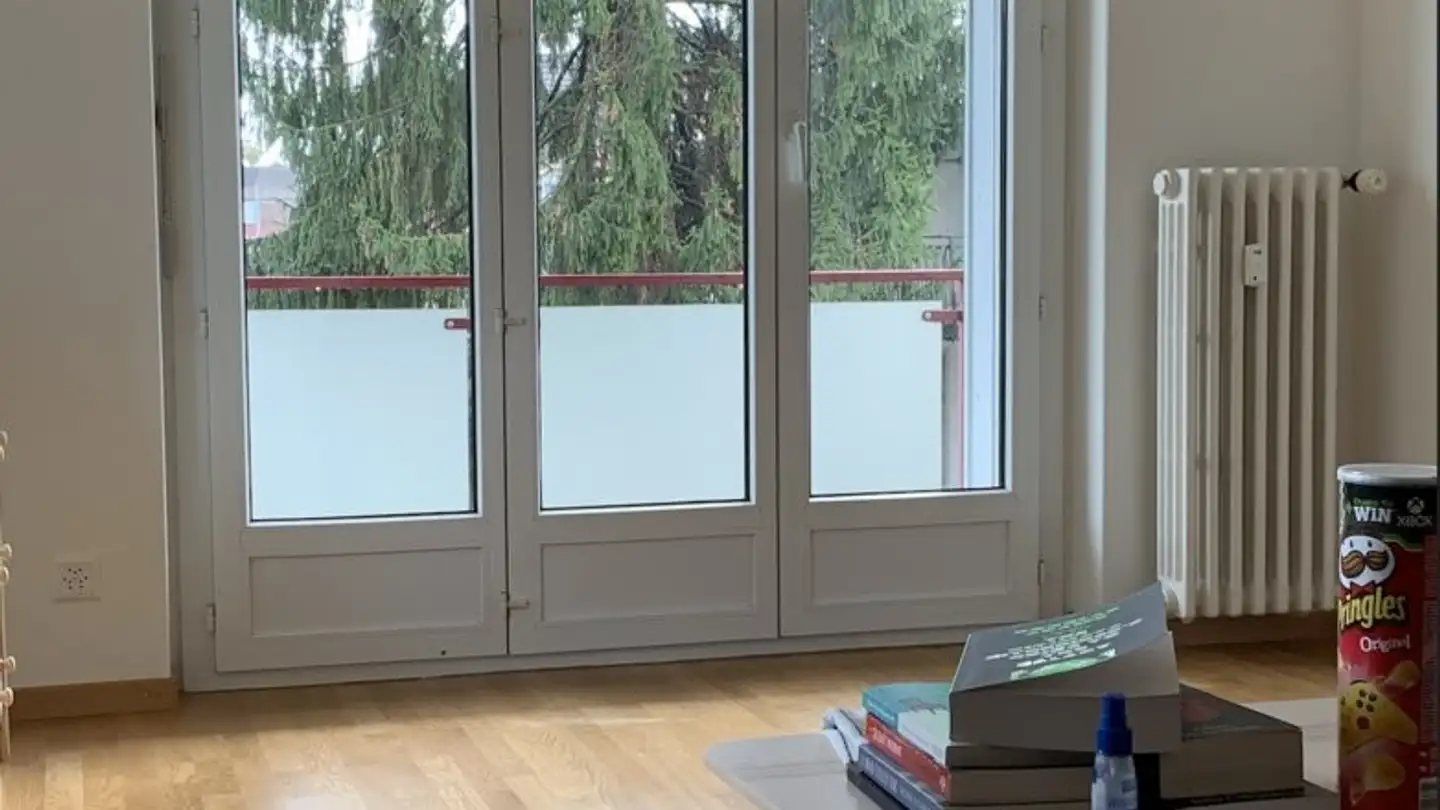 Appartement à louer - Alte Jonastrasse 49, 8640 Rapperswil SG - Photo 3