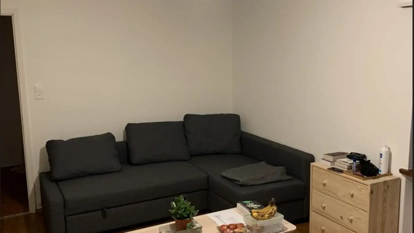 Appartement à louer - Alte Jonastrasse 49, 8640 Rapperswil SG - Photo 4