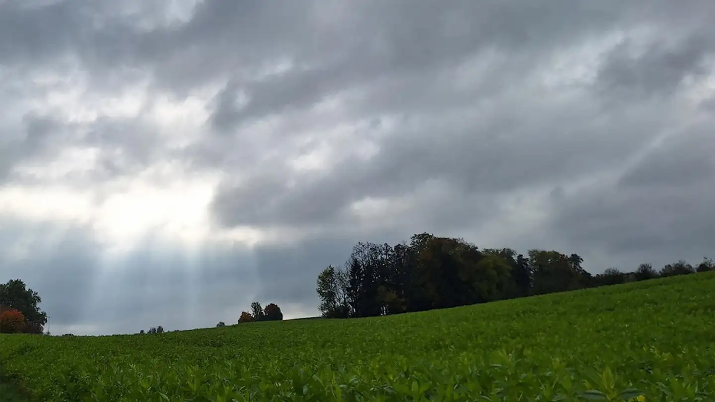 Villa in vendita - 5630 Muri AG