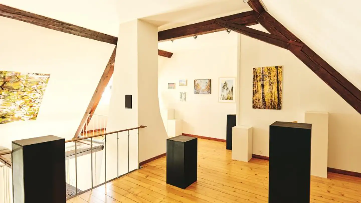 Einfamilienhaus kaufen - Chemin Du Brit 19, 1680 Romont FR - Foto 4