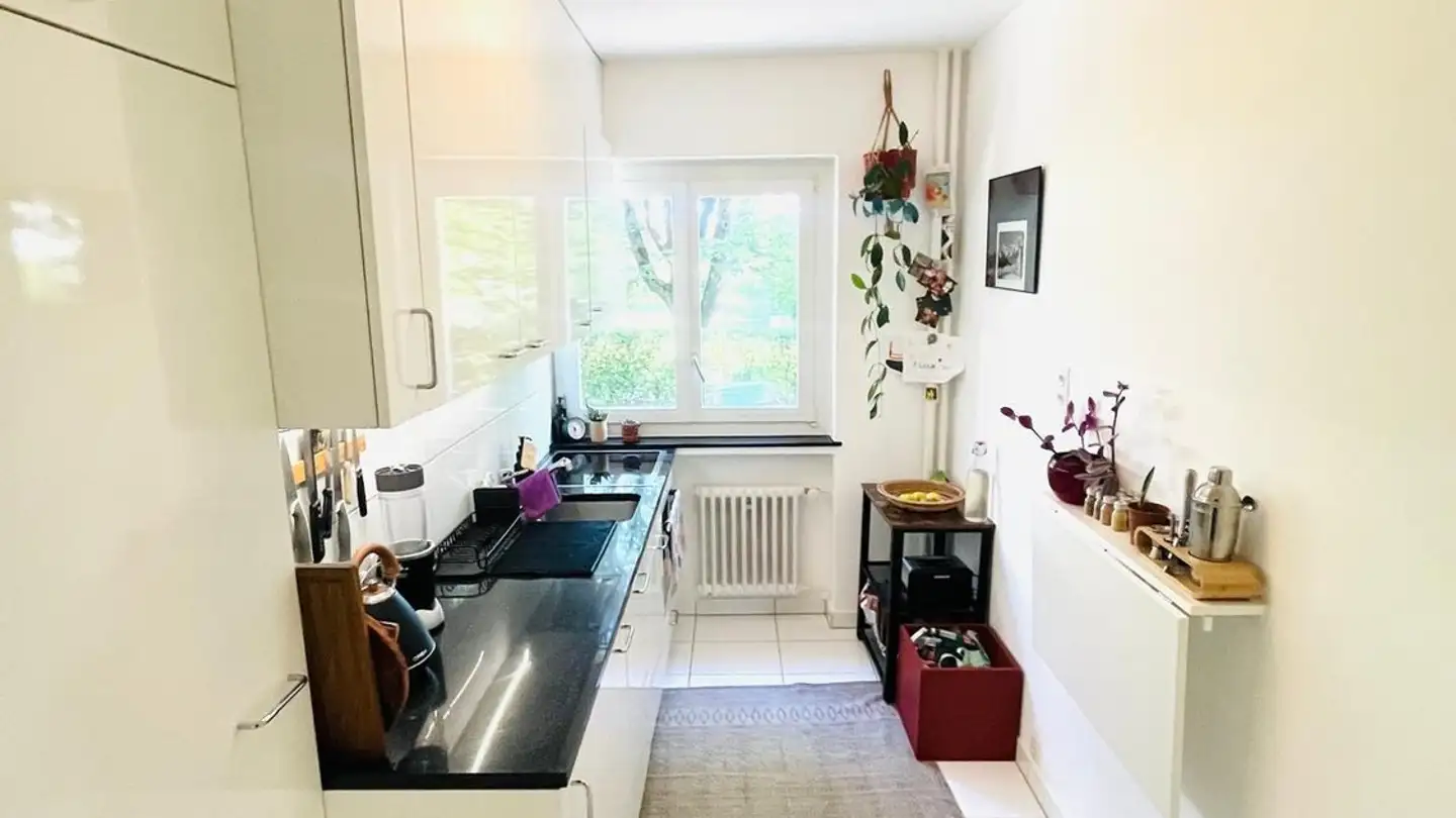 Chambre à louer - Altstetterstrasse 172, 8048 Zürich - Photo 2