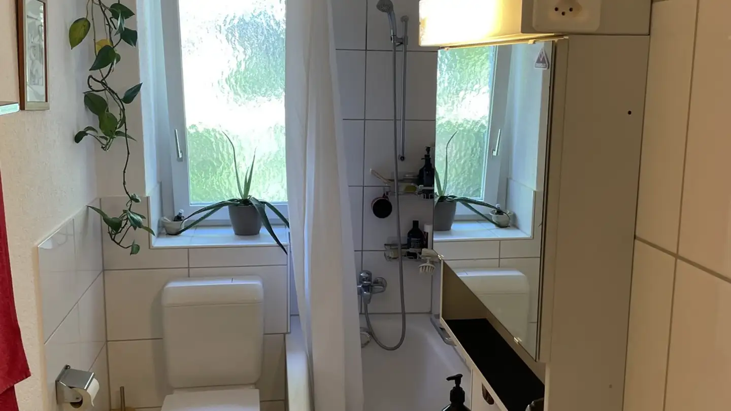 Chambre à louer - Altstetterstrasse 172, 8048 Zürich - Photo 3