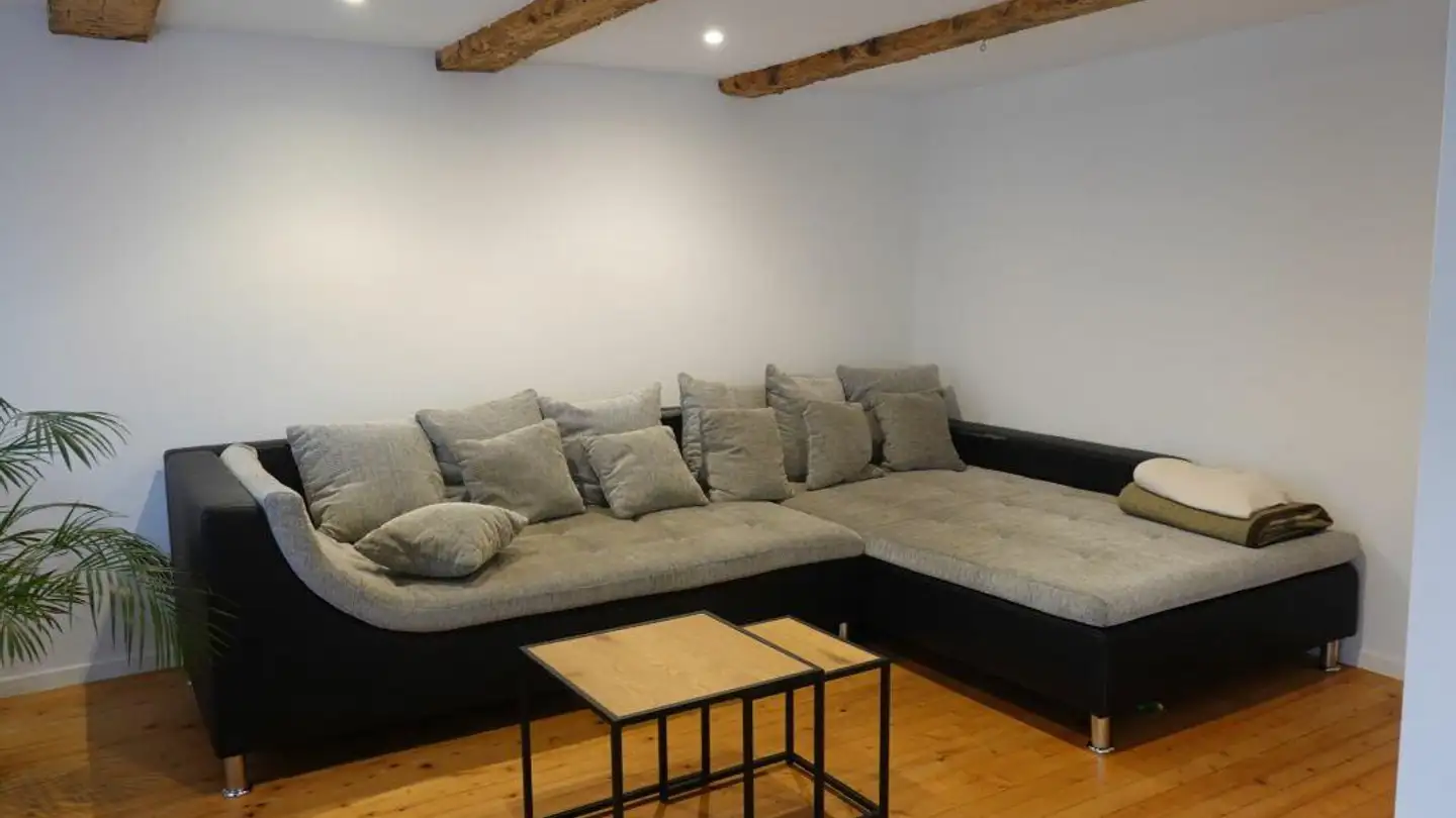 Farm for rent - Uesslingerstrasse, 8548 Ellikon an der Thur - Photo 4