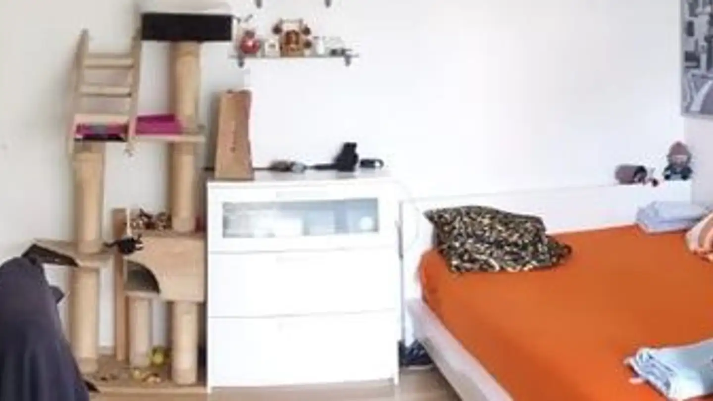 Appartamento in affitto - Hofenstrasse 2, 9300 Wittenbach