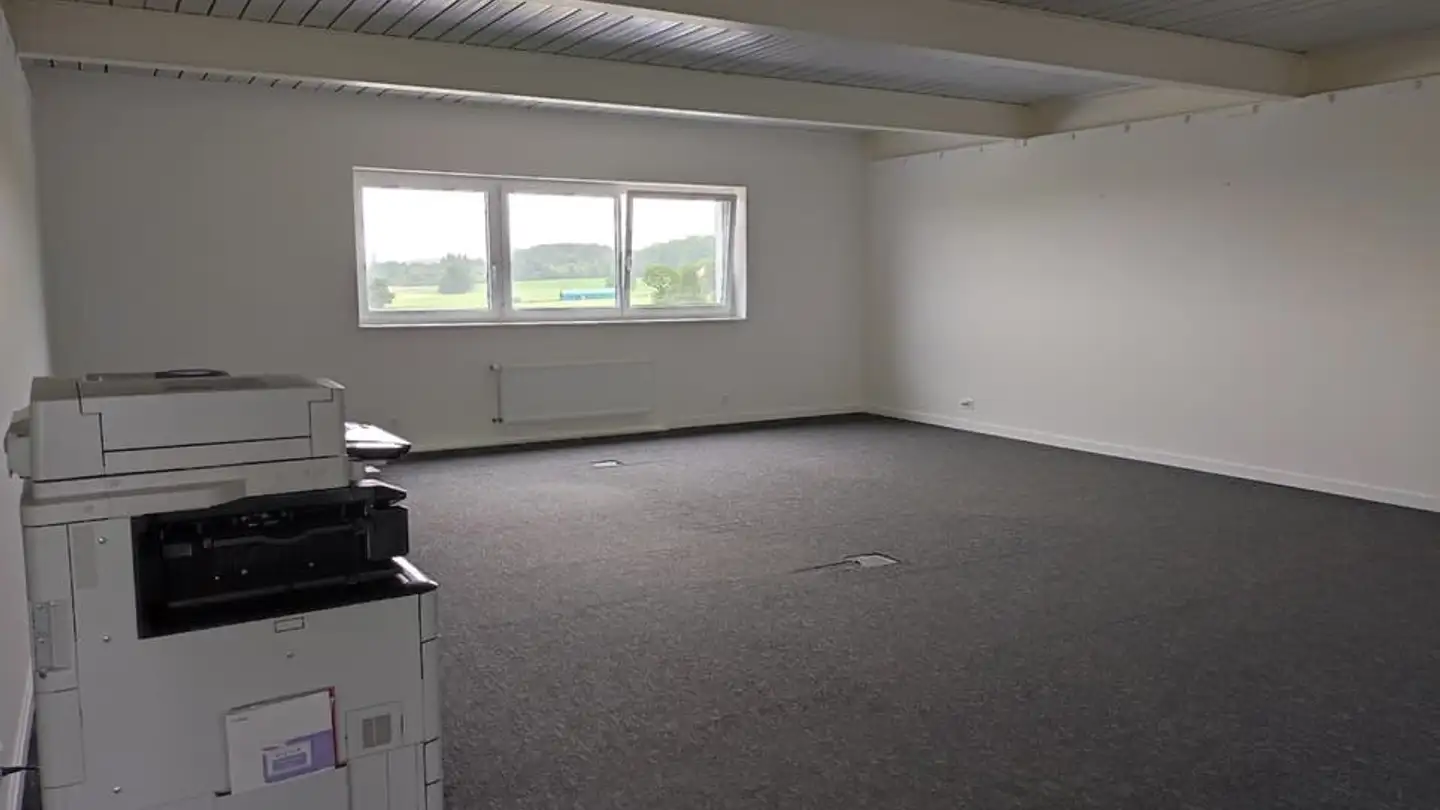 Commerciale in vendita - Route D'assens, 1042 Bioley-Orjulaz - Photo 4