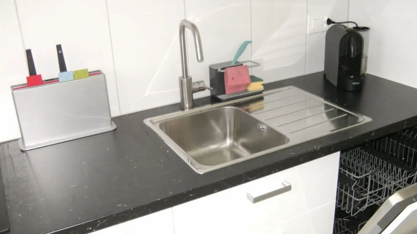 Appartamento in affitto - Schaffhauserstrasse 529, 8052 Zürich