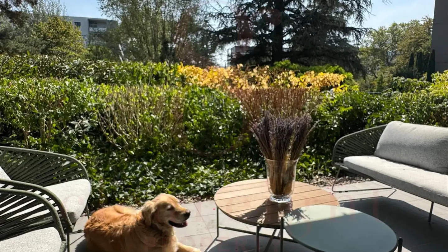 Appartamento in affitto - 1223 Cologny - Photo 4