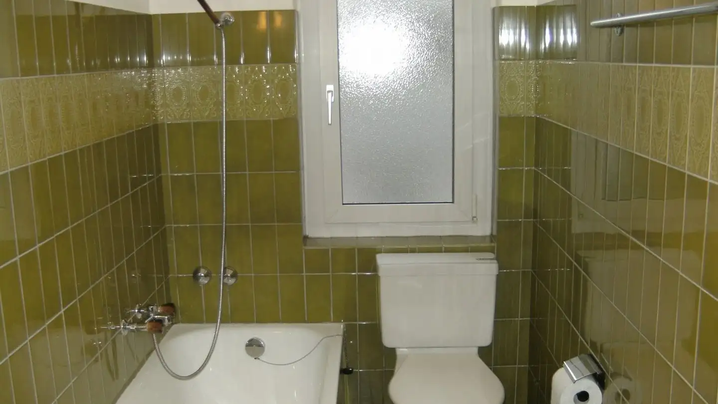 Appartamento in affitto - Schaffhauserstrasse 529, 8052 Zürich - Foto 2