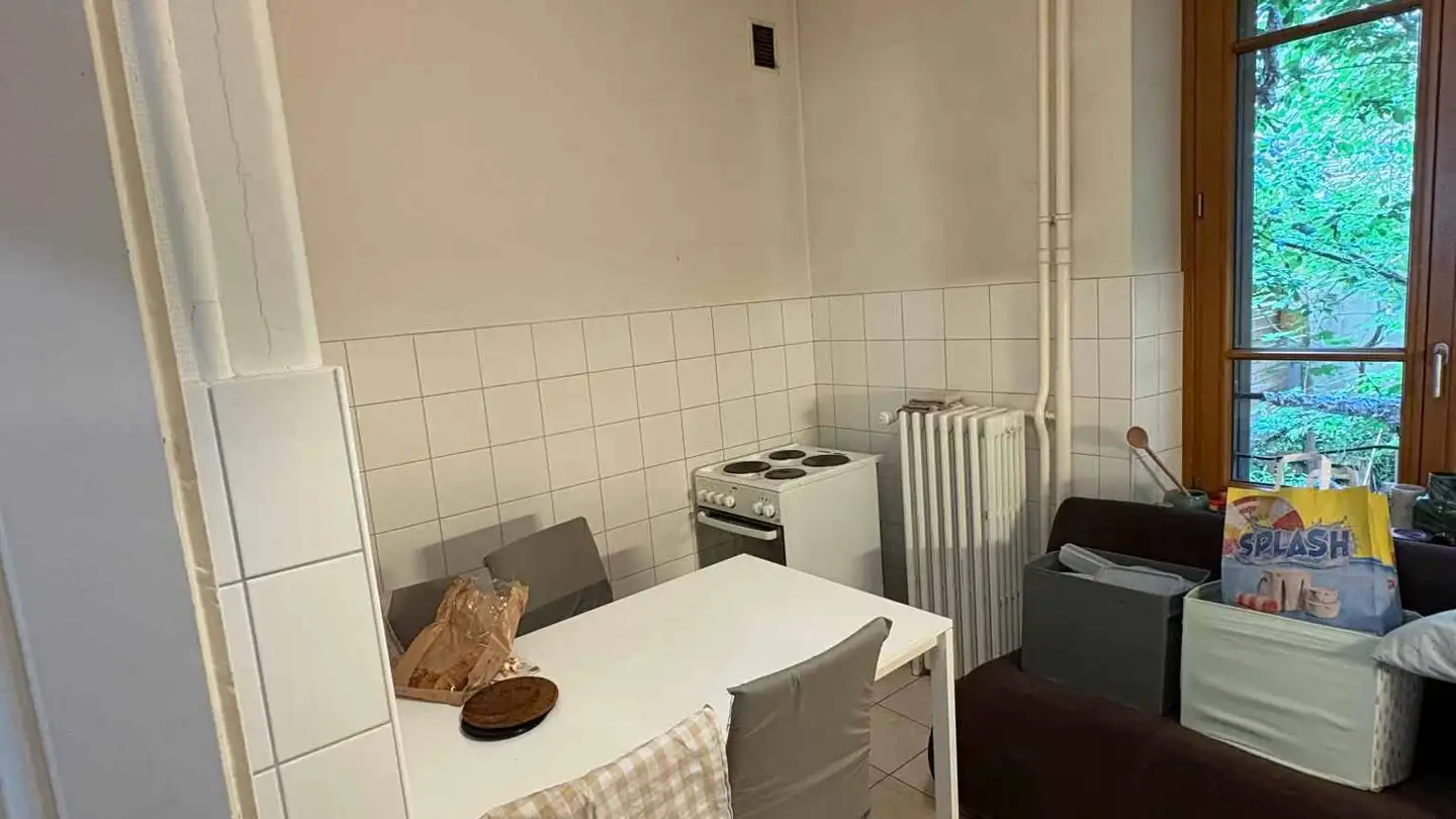 Apartment for rent - Rue Des Bains 38, 1205 Genève - Photo 3
