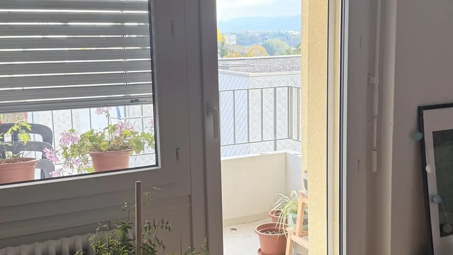 Appartamento in affitto - Bernstrasse 77, 3052 Zollikofen - Photo 3