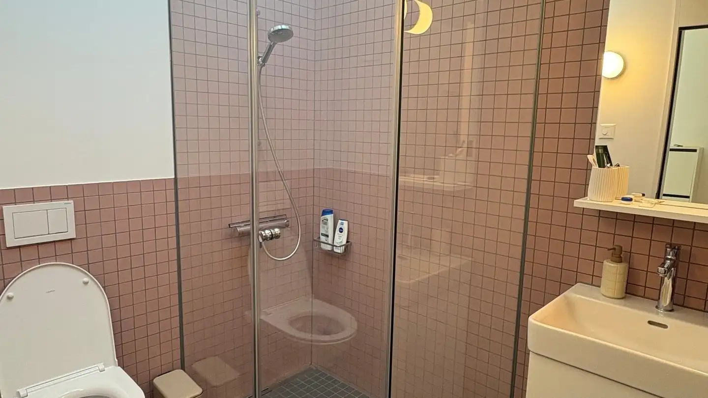 Appartamento in affitto - Birmensdorferstrasse 485, 8055 Zürich - Foto 4