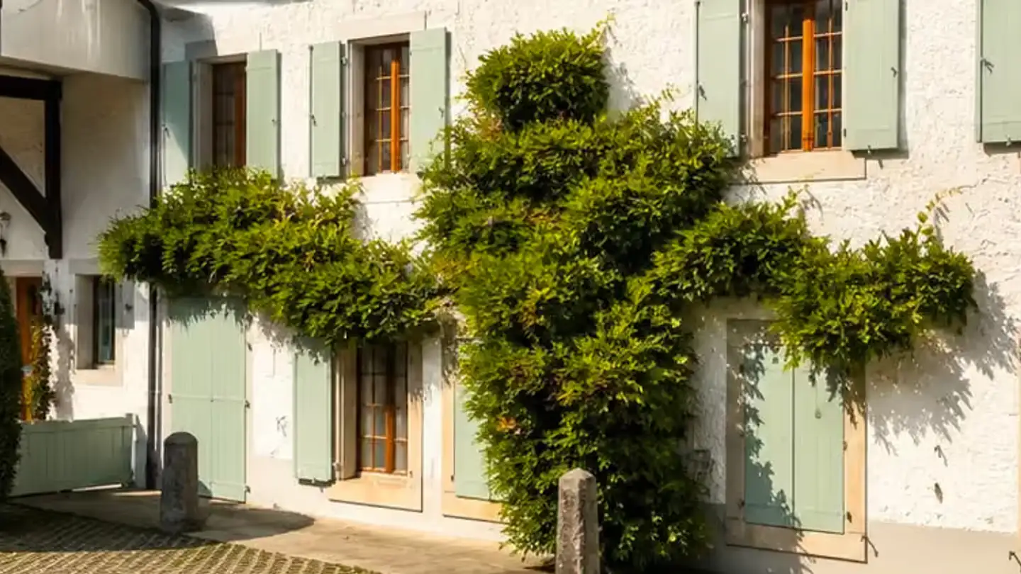 Appartement à louer - Route De Le Muids, 1273 Arzier-Le Muids