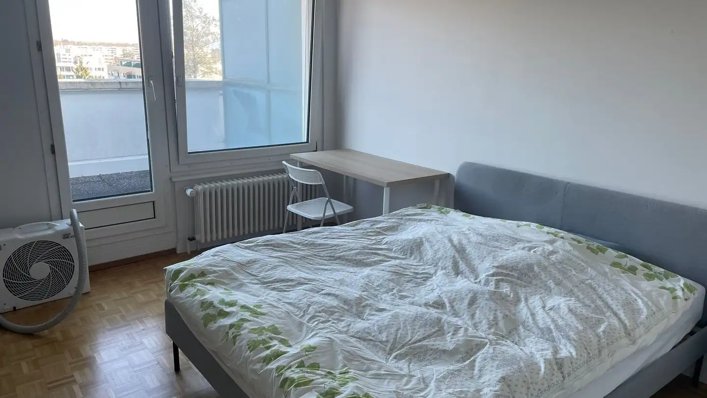 Attique à louer - Chemin Ami- Argand 74, 1290 Versoix - Photo 4