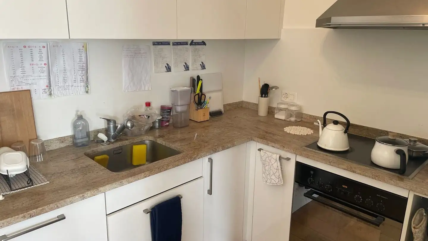 Attique à louer - Chemin Ami- Argand 74, 1290 Versoix - Photo 3