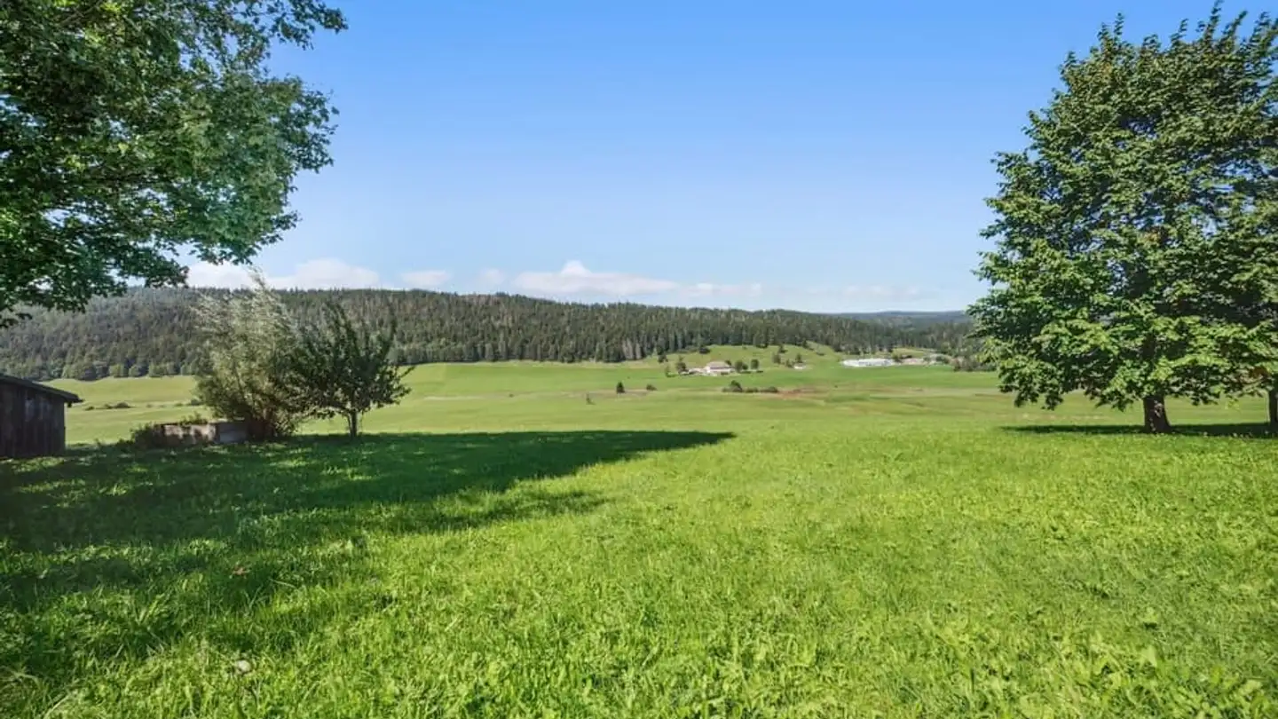 Single house for sale - 1348 Le Brassus - Photo 2