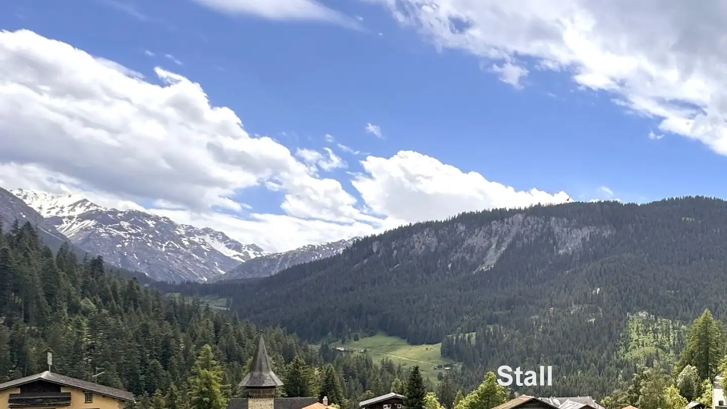 Terreno edificabile in vendita - Ober Wies, 7057 Langwies - Foto 3