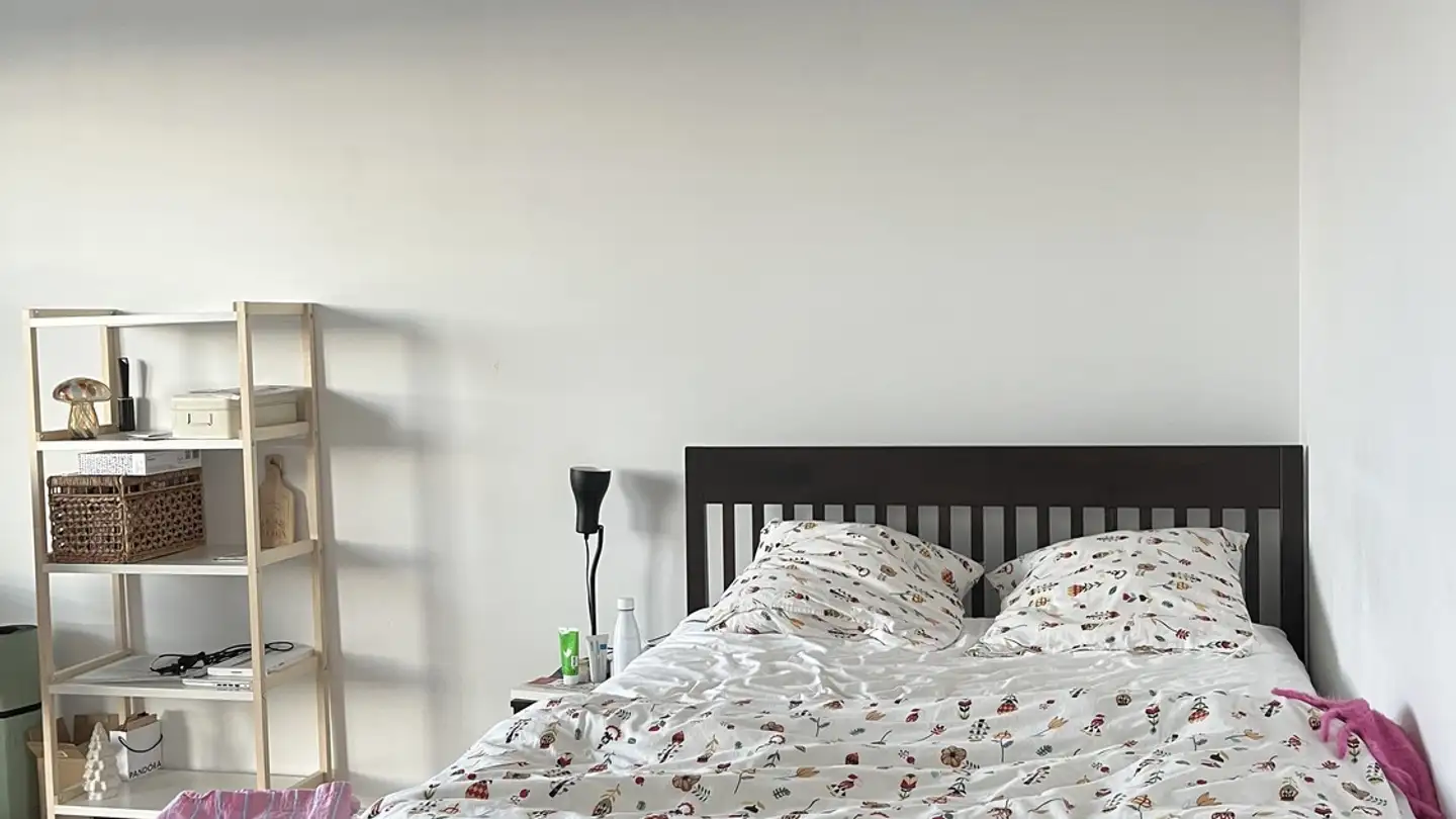Single room for rent - Sophie-Taeuber-Strasse 6, 8050 Zürich