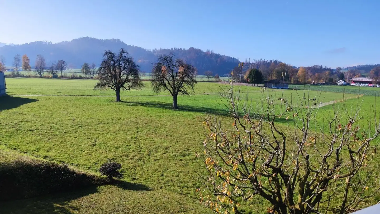 Duplex in affitto - Mühlemattstrasse 10, 6260 Reiden - Photo 3