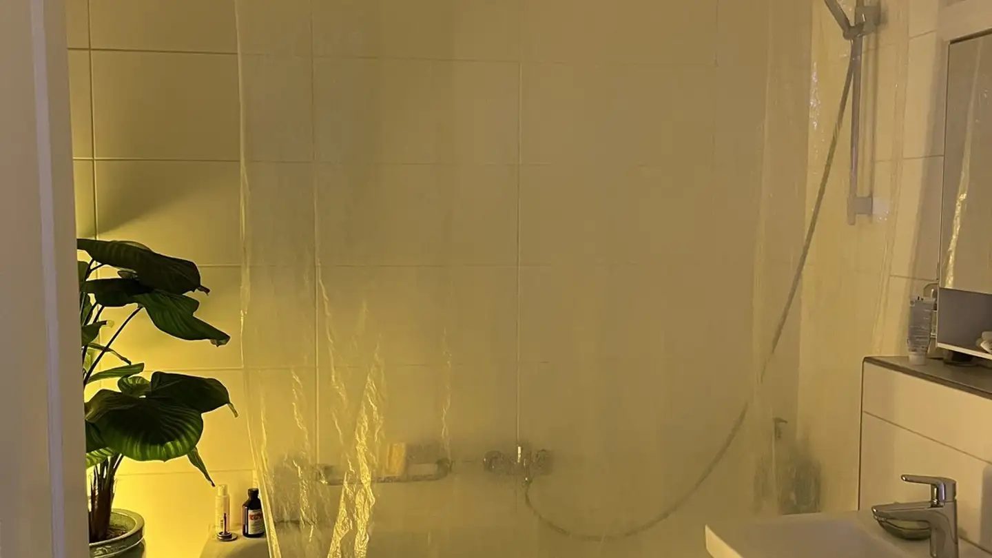 Single room for rent - 8002 Zürich - Photo 4